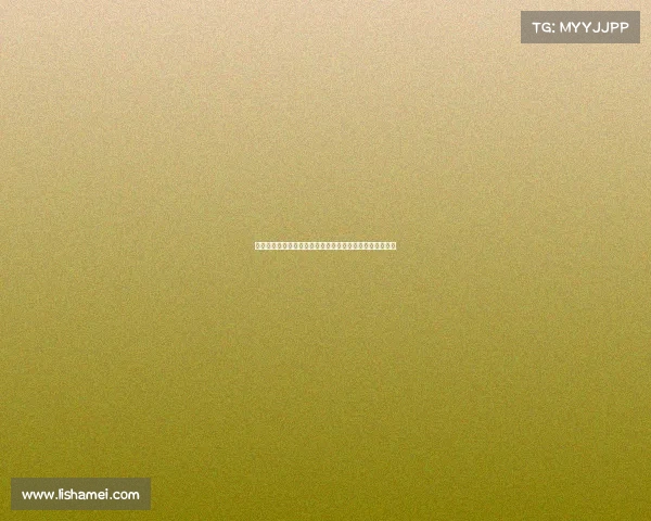 西甲中文解说全解析：深入了解西甲赛事背后的故事与魅力